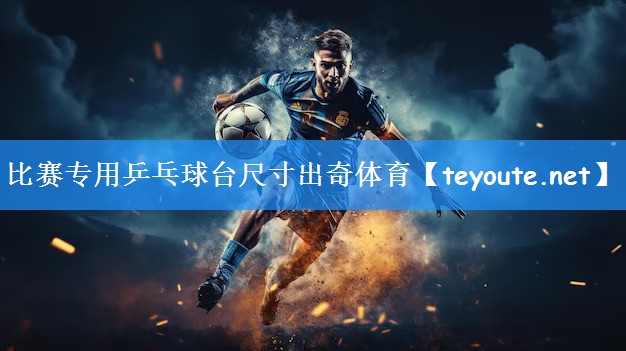 比赛专用乒乓球台尺寸出奇体育