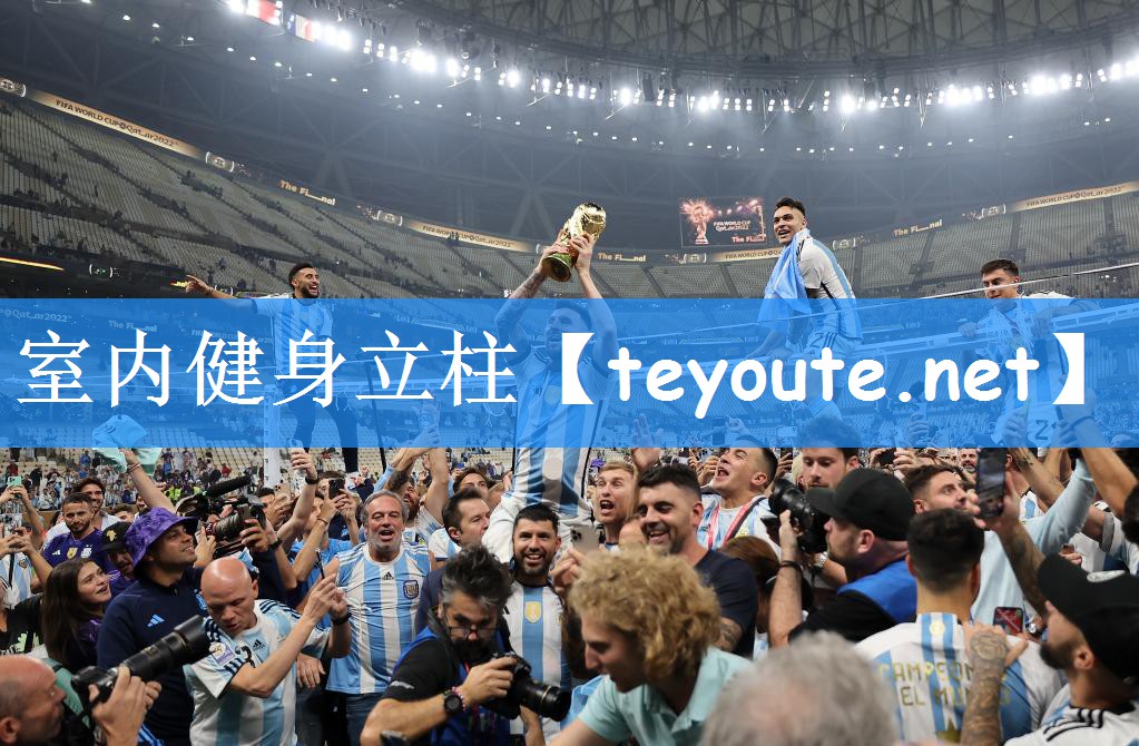 <strong>室内健身立柱</strong>