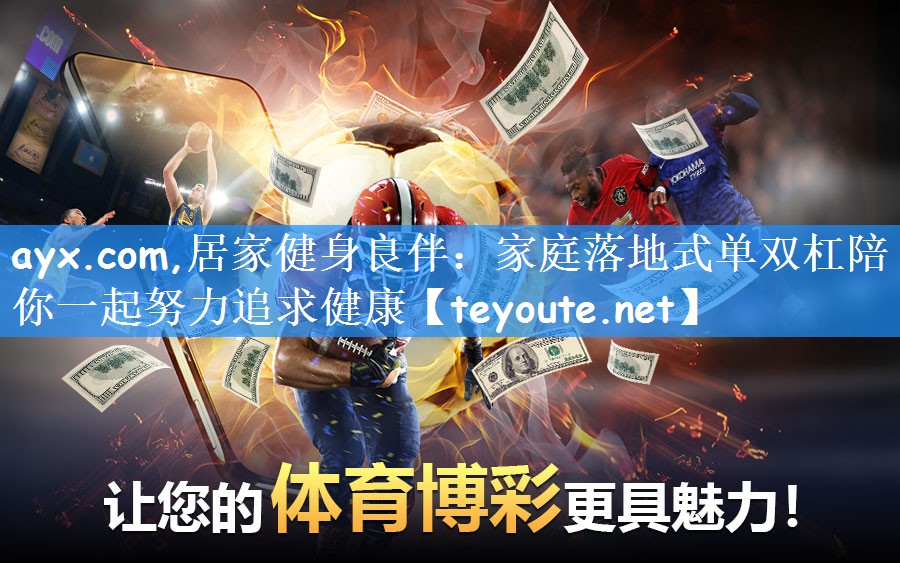 ayx.com,居家健身良伴：家庭落地式单双杠陪你一起努力追求健康
