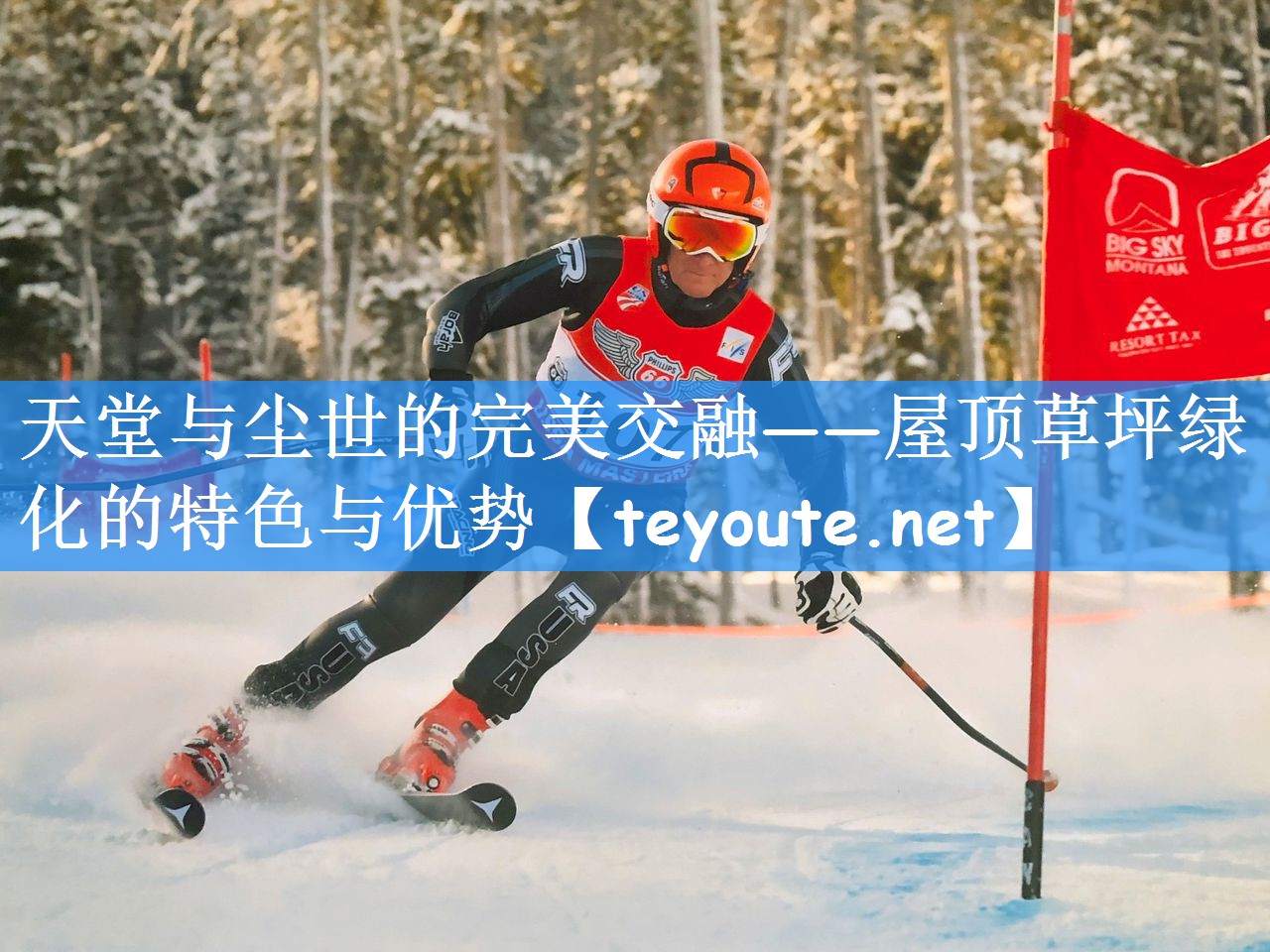 天堂与尘世的完美交融——屋顶草坪绿化的特色与优势