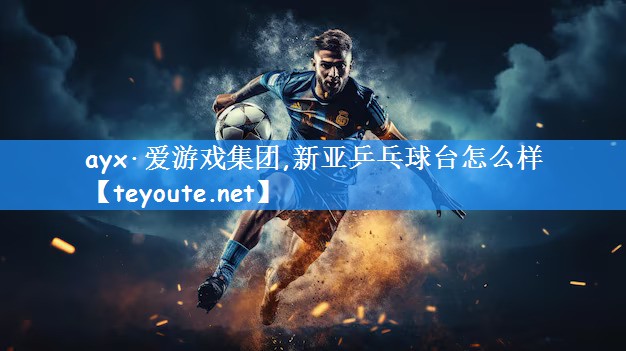 ayx·爱游戏集团,新亚乒乓球台怎么样