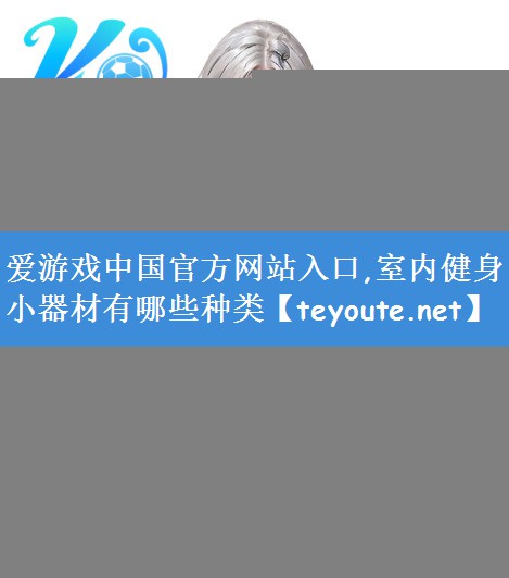 爱游戏中国官方网站入口,室内健身小器材有哪些种类