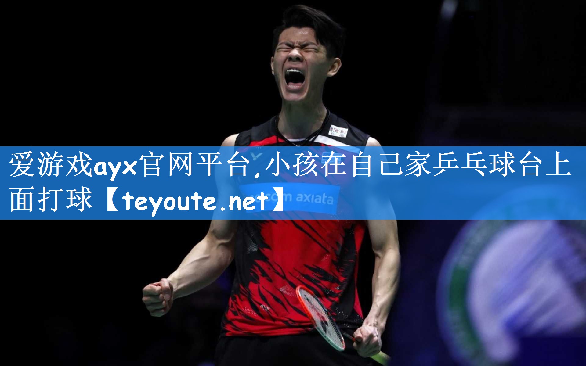 爱游戏ayx官网平台,小孩在自己家乒乓球台上面打球