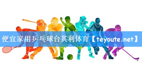 便宜家用乒乓球台其利体育