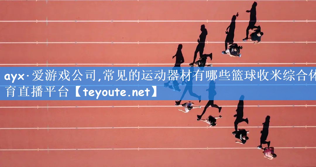 ayx·爱游戏公司,常见的运动器材有哪些篮球收米综合体育直播平台
