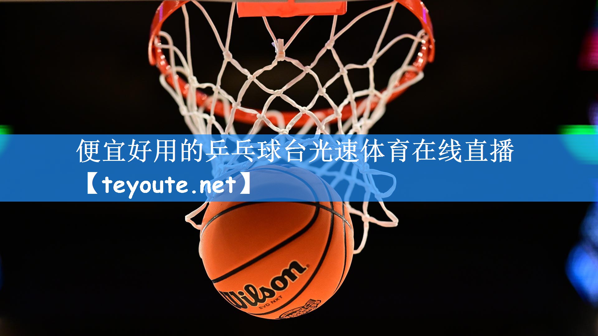 便宜好用的乒乓球台光速体育在线直播