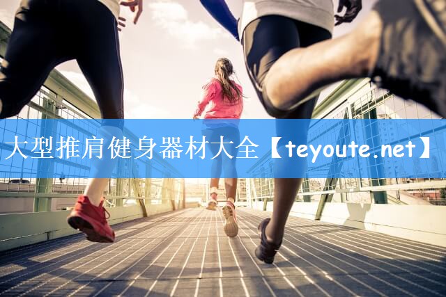 <strong>大型推肩健身器材大全</strong>