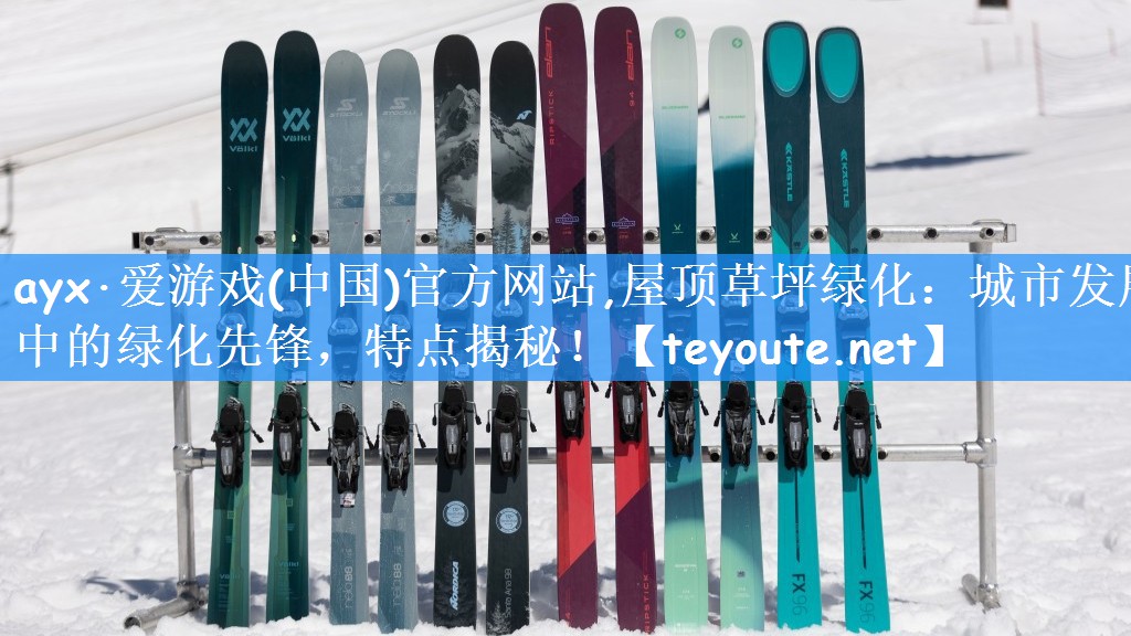 ayx·爱游戏(中国)官方网站,屋顶草坪绿化：城市发展中的绿化先锋，特点揭秘！