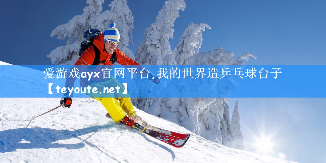 我的世界造乒乓球台子